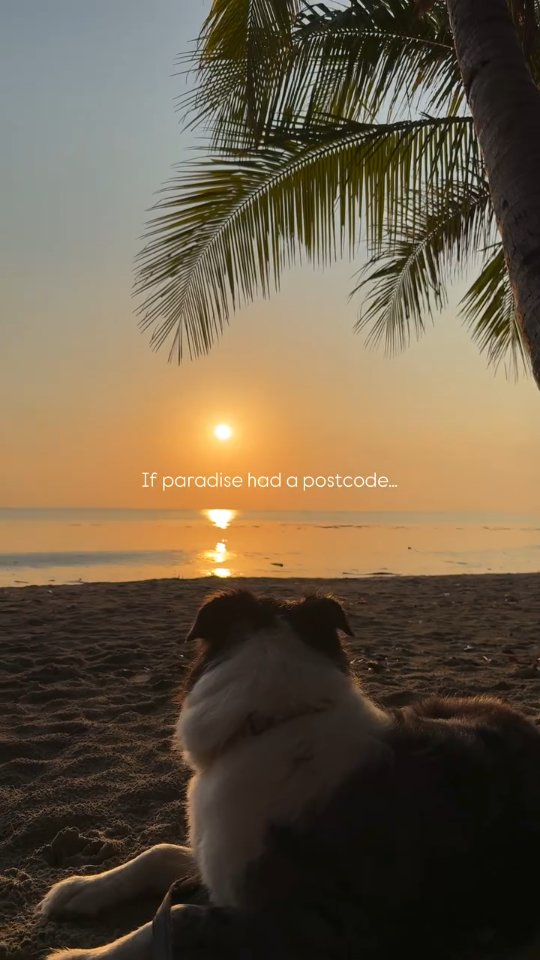 If paradise had a postcode, 4877 would be it 🌊🌴😉 Four Mile Beach in ...