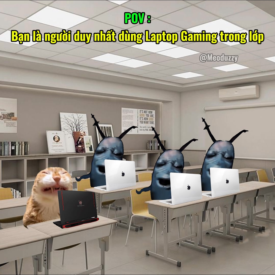 Bạn là người duy nhất dùng laptop trong lớp #meme #catmeme #cat | Mèo ...