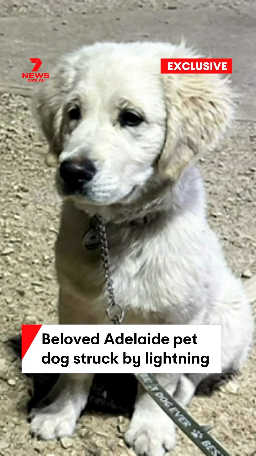 EXCLUSIVE: A distraught Adelaide family has opened up about losing ...