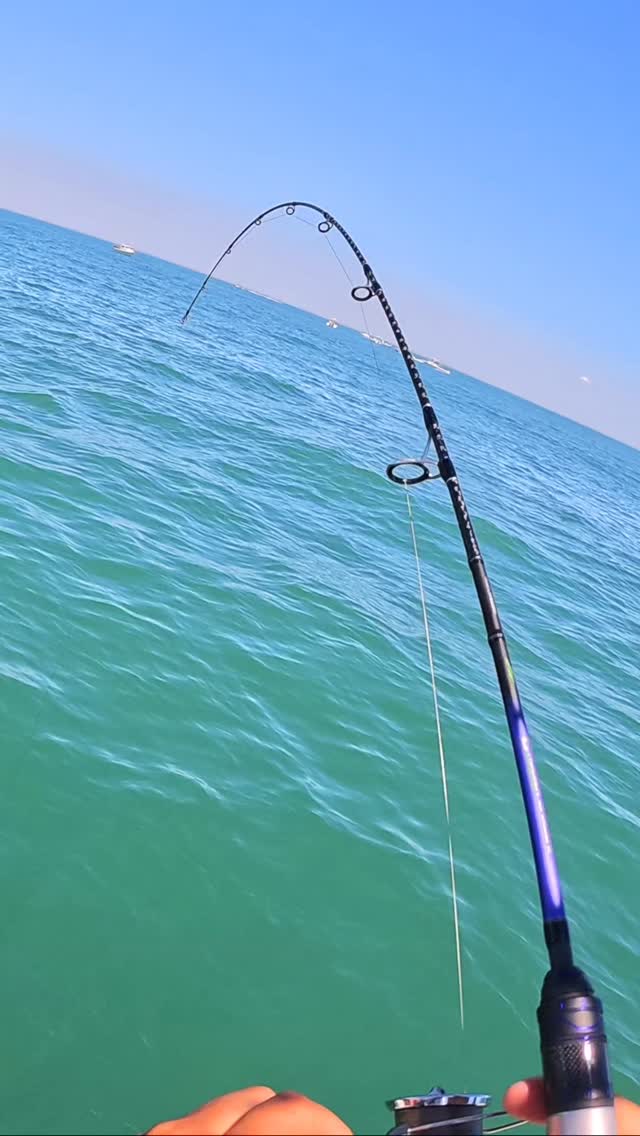 best value fishing rod combo BlueFire Combo, Carbon Fiber Telescopic Rod with Spinning Reel LUCKY CRAFT LV 500 streamer Instant anti Arky Heads:Ghost Perch