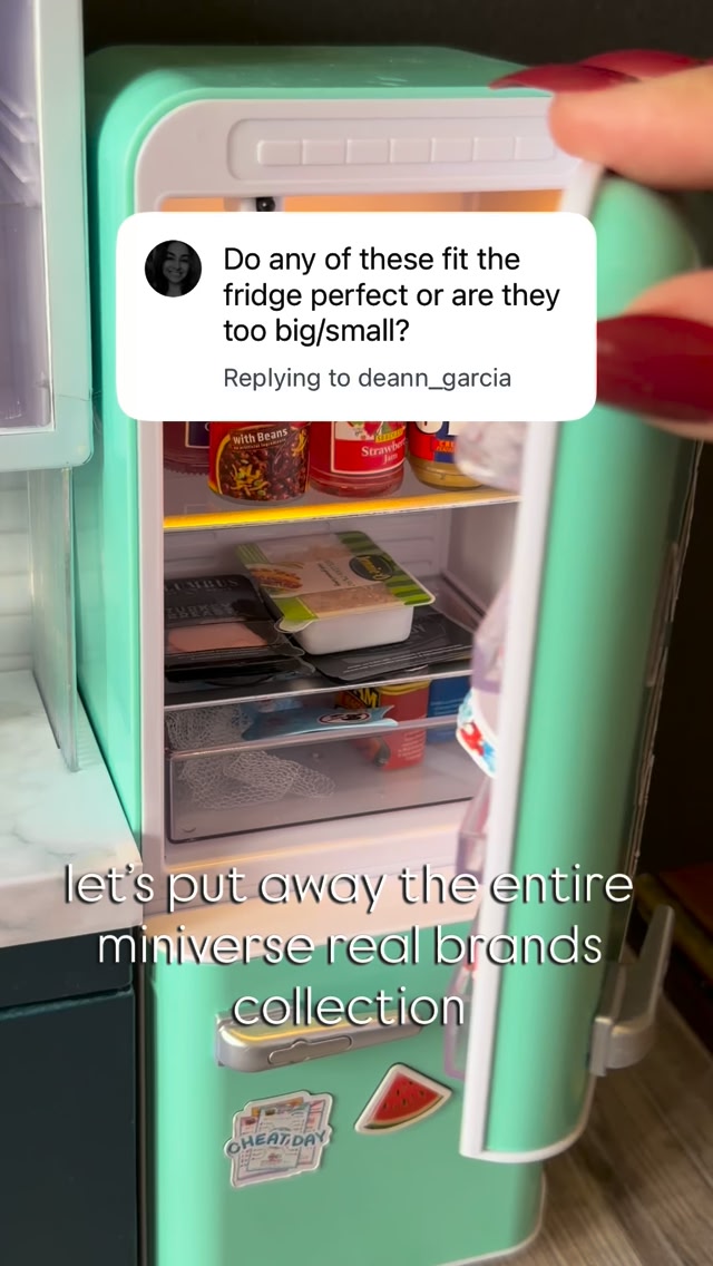 they do fit in the mini brands fridge, with a few modifications.. i removed a shelf and didn’t use the boxes for the frozen goods. and stored some canned foods in the fridge but it works! , #miniverse