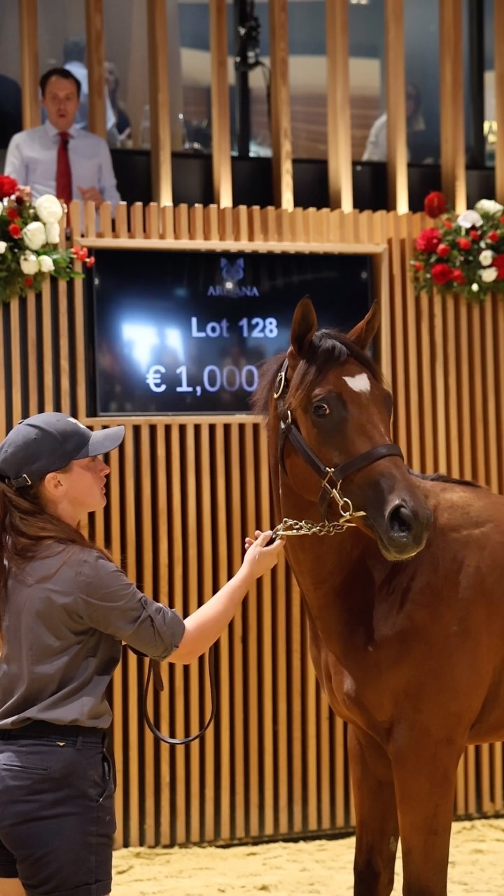 2026 Arqana August 🏖️ One we'll never forget! ✨ The French