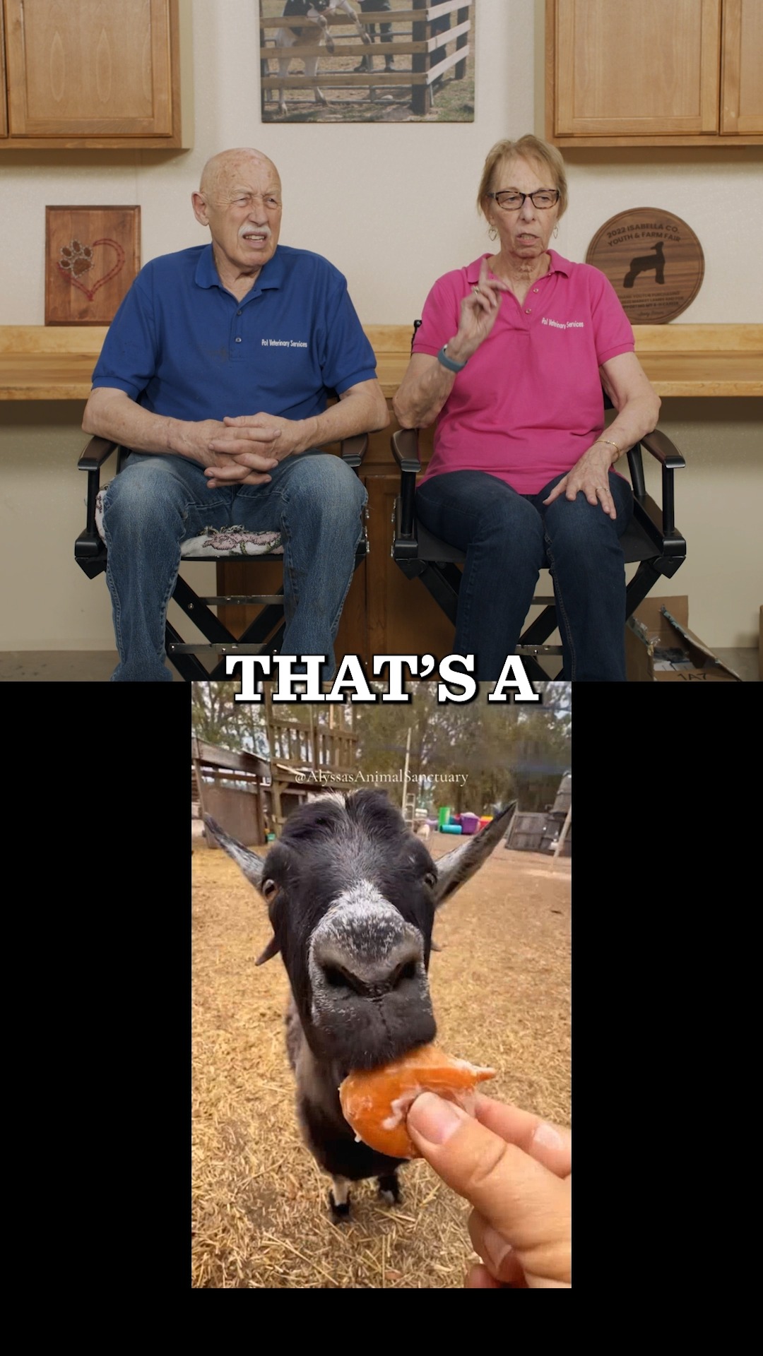 Smart thinking! 👏 #DrPolReacts | Dr. Pol