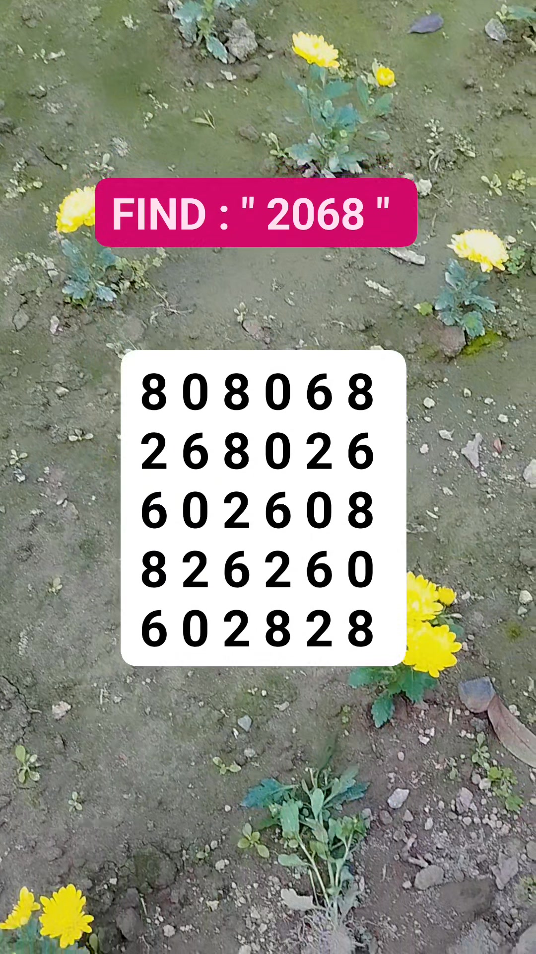#riddle #brainteaser #search #find | Shariful Islam Siyam | Facebook