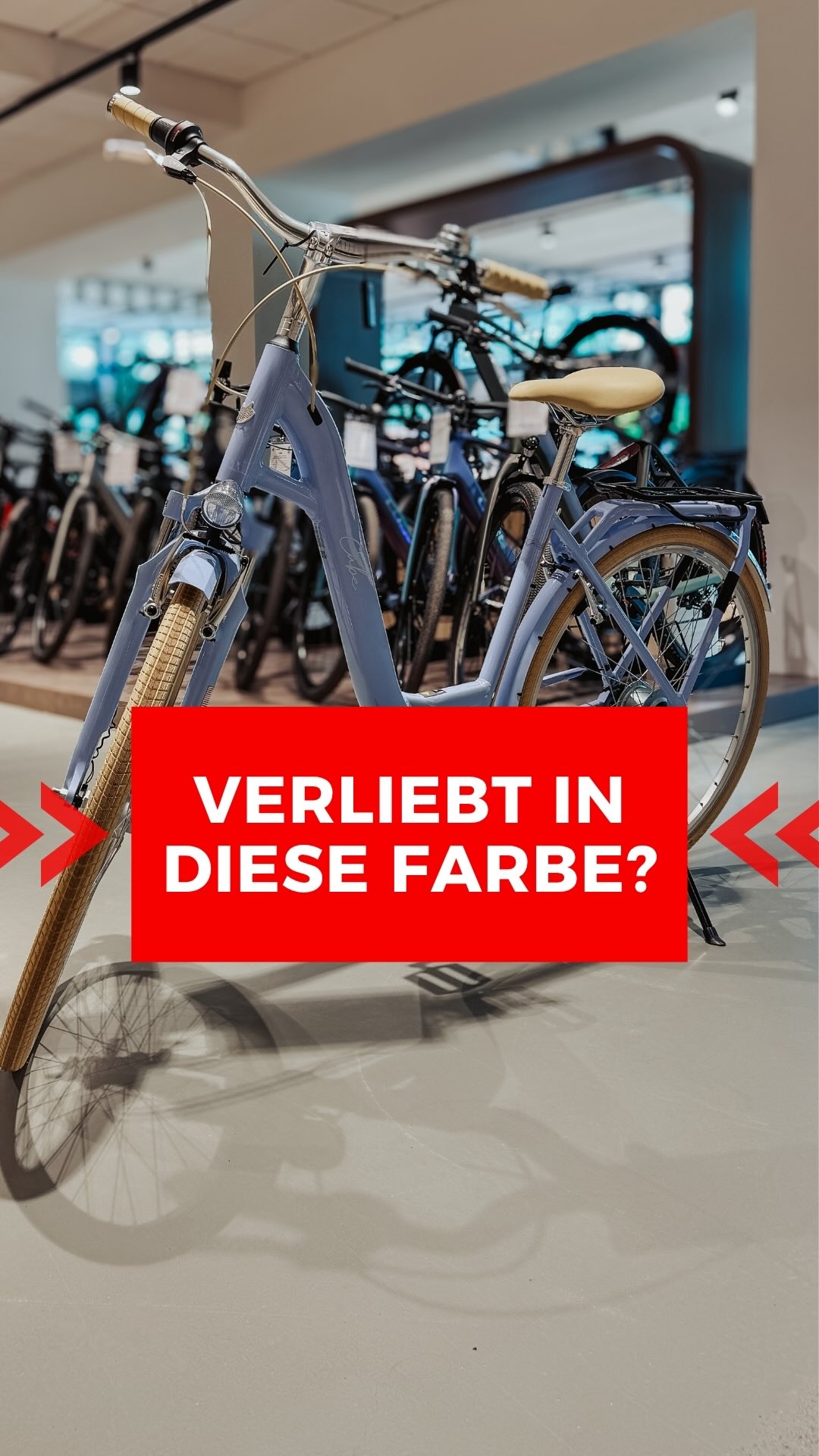 fahrradhelm ohne plastik Black Ocean transmissionSystemDe:Kettenschaltung Colour:Olive green Maßgeschneiderte Hunde-Spielzeugbox – Hunde-Spielzeugkorb,