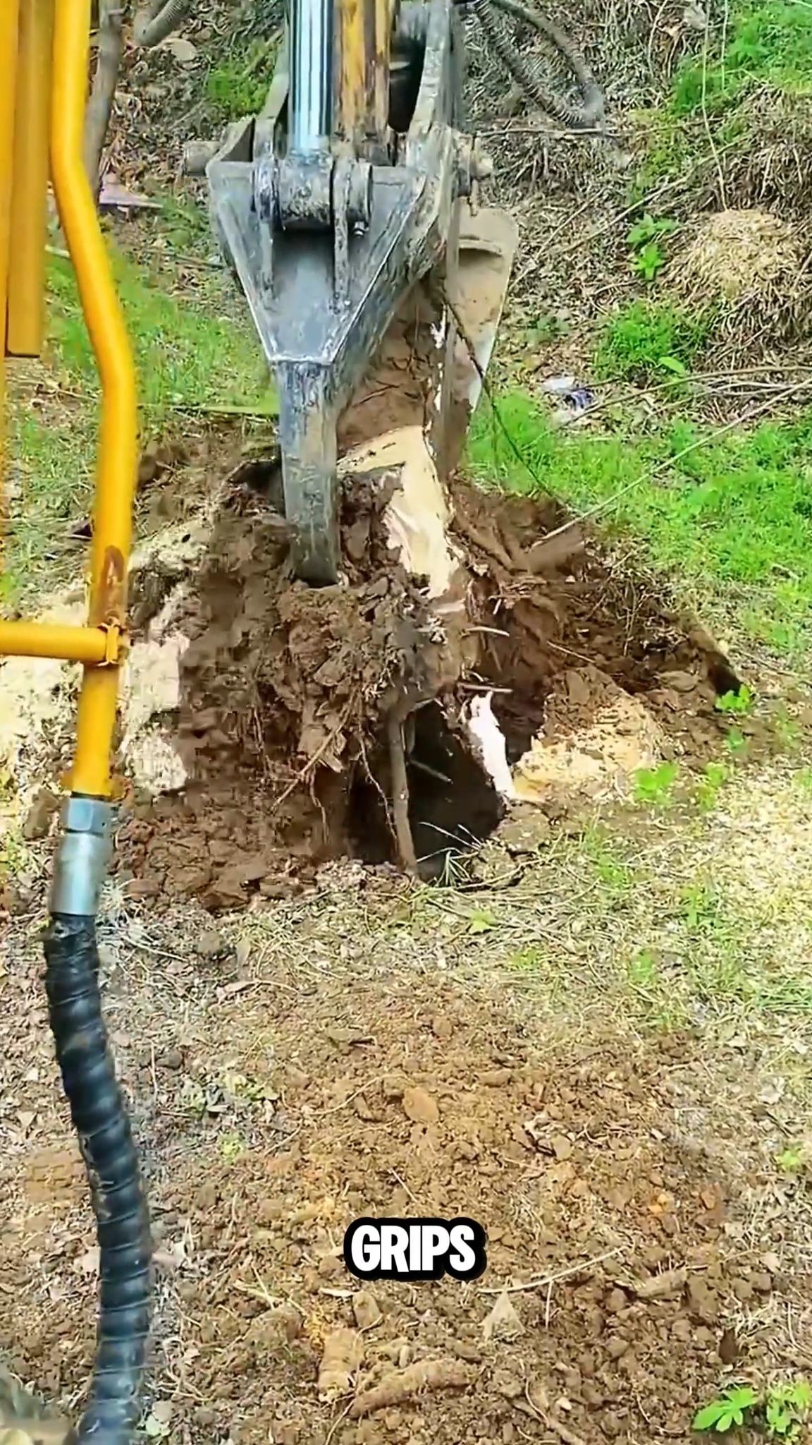 Tree stumps don't stand a chance against this hydraulic ripper # ...