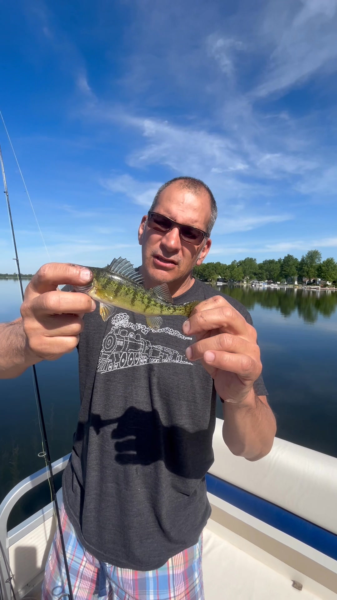 bass fishing reel Reaction Tackle High-Performance Reels- Spinning Series - New Jigging World Angel Twin Rods: Baitcast yet is designed for Size:Small 2