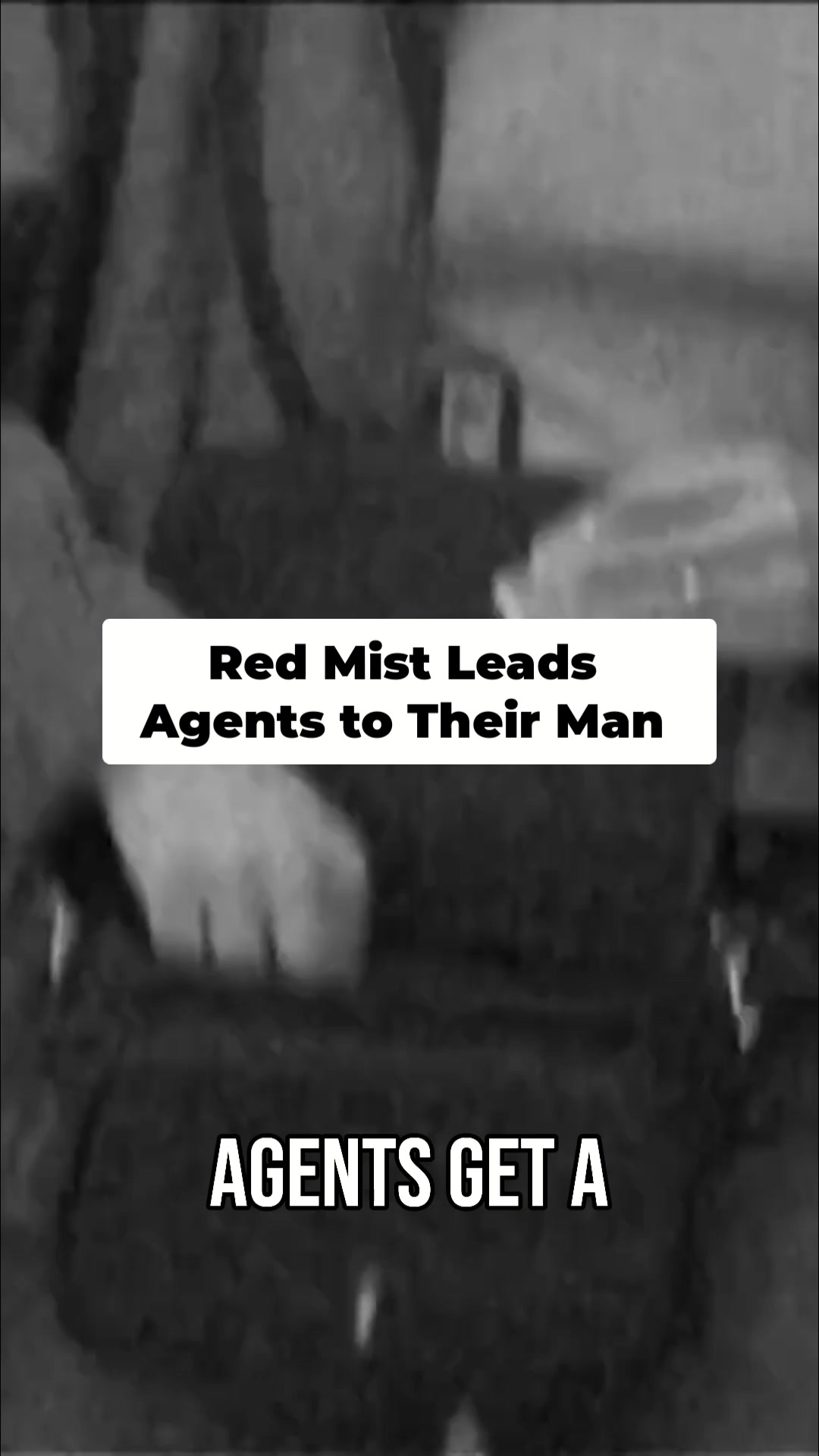 A neighbor saw the bank robber fleeing with a cloud of red mist behind ...