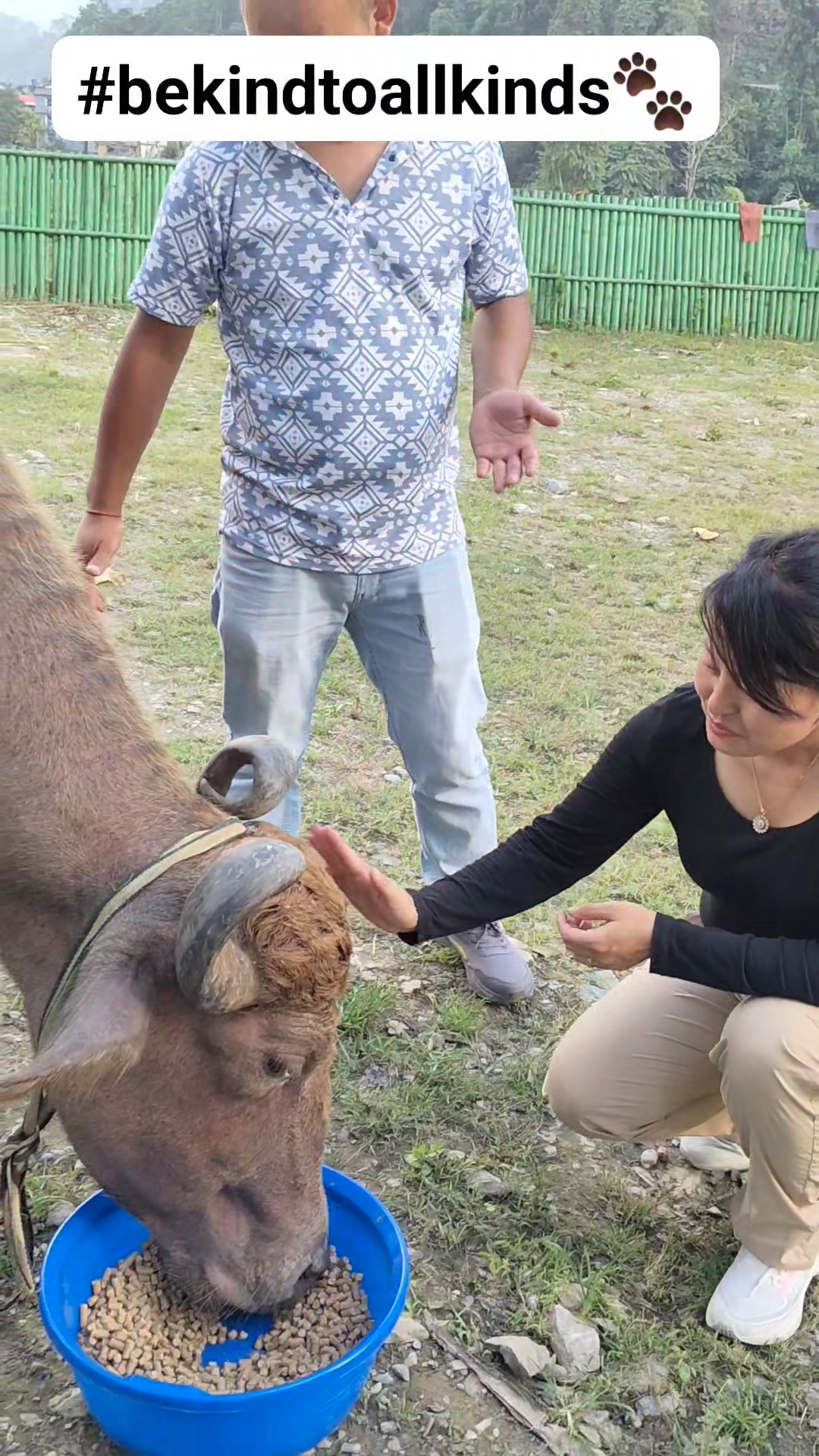 Vegan, fur-free, and always advocating for animals—happy birthday