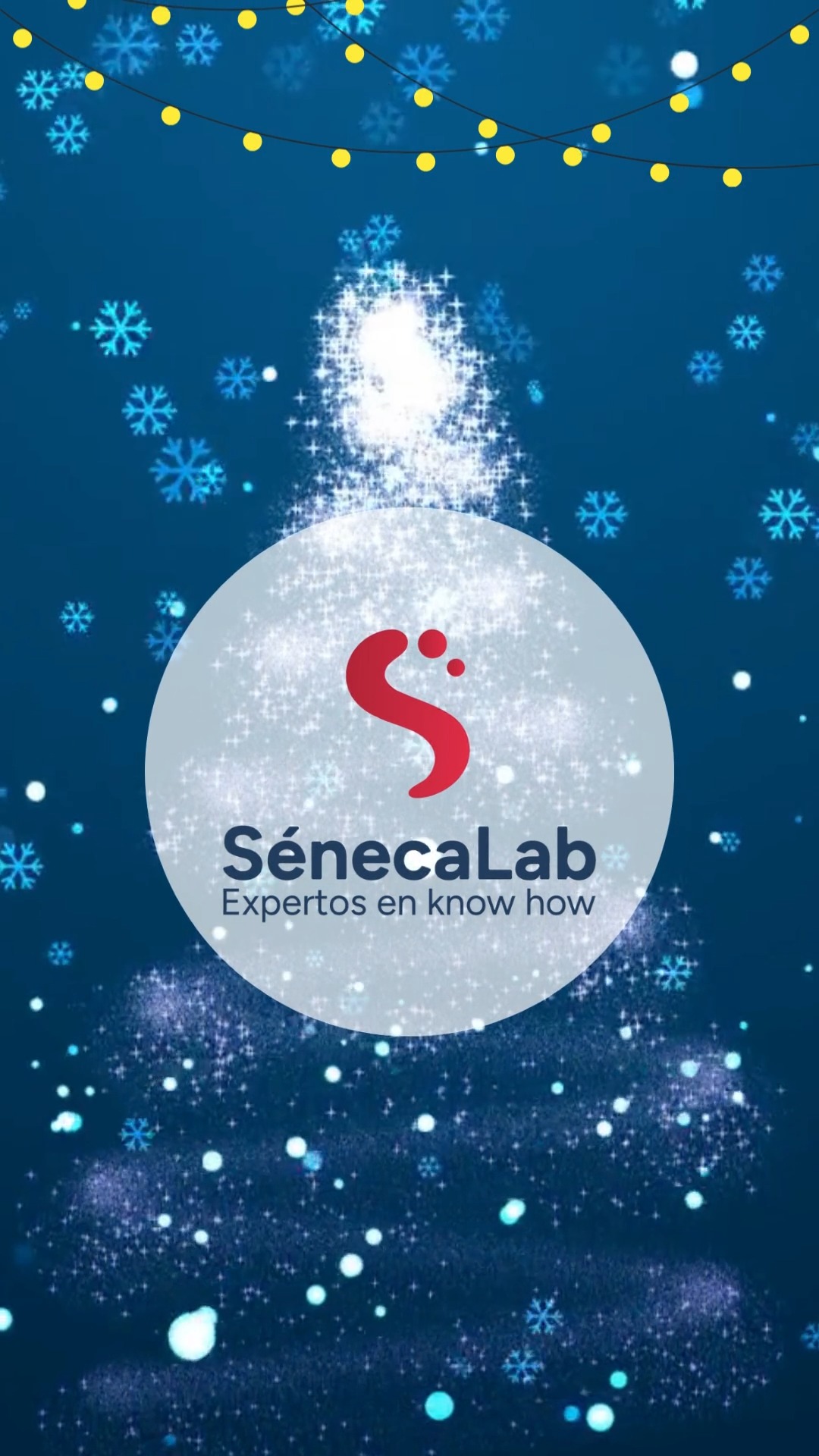 SenecaLab