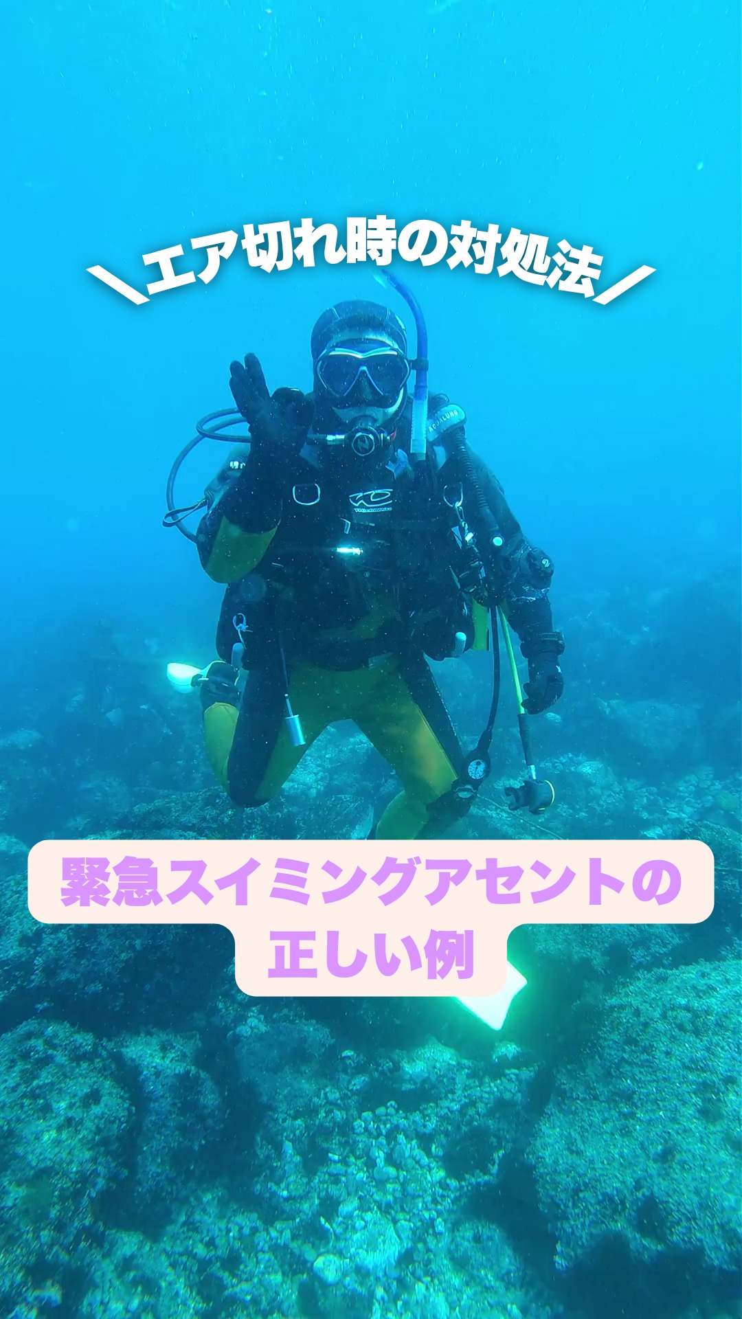 宇佐美ダイビングセンター | Ito-shi Shizuoka