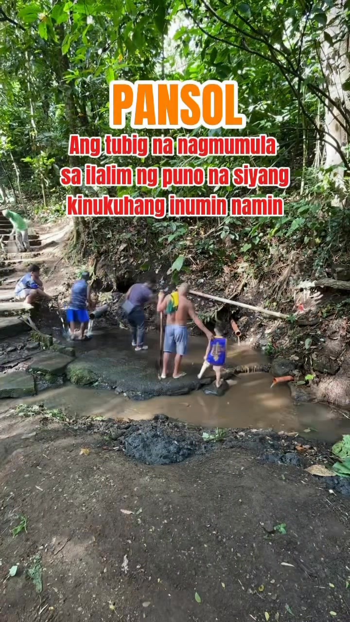 Ang tubig na nagmumula sa ilalim ng puno na siyang kinukuhang inumin ...