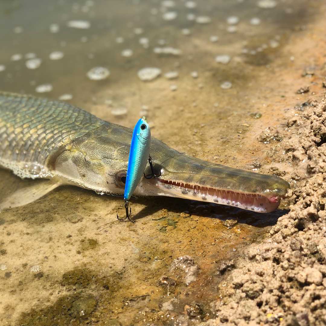 fish whisperer lure Maine Trout Casting Spoon Crafted in the USA! Gar Fishing with a Topwater