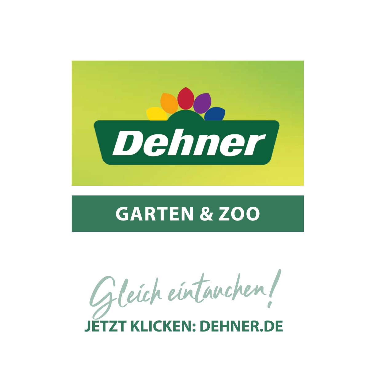 Fische im Aquarium beobachten kann entspannen. 🐟🐠Wir helfen Dir bei der Einrichtung Deines Aquariums und bei der Auswahl der Fische., 👉https://www.dehner.de/ratgeber/zoo-tipps/ratgeber-aquarium/ratgeb