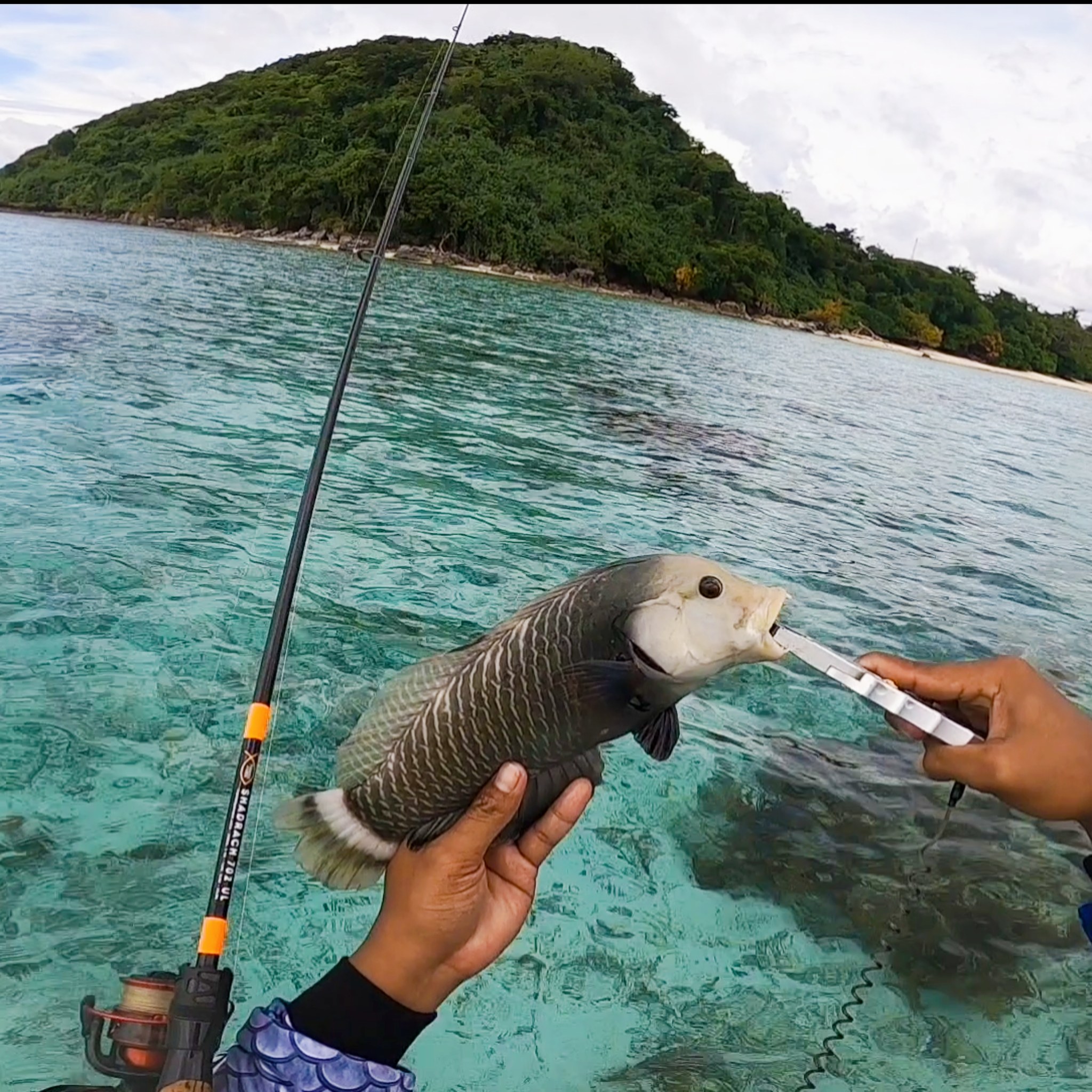 Vampire fish 😳🫠 Gear setup Rod: Shadrach 702 Ultralight https://s ...