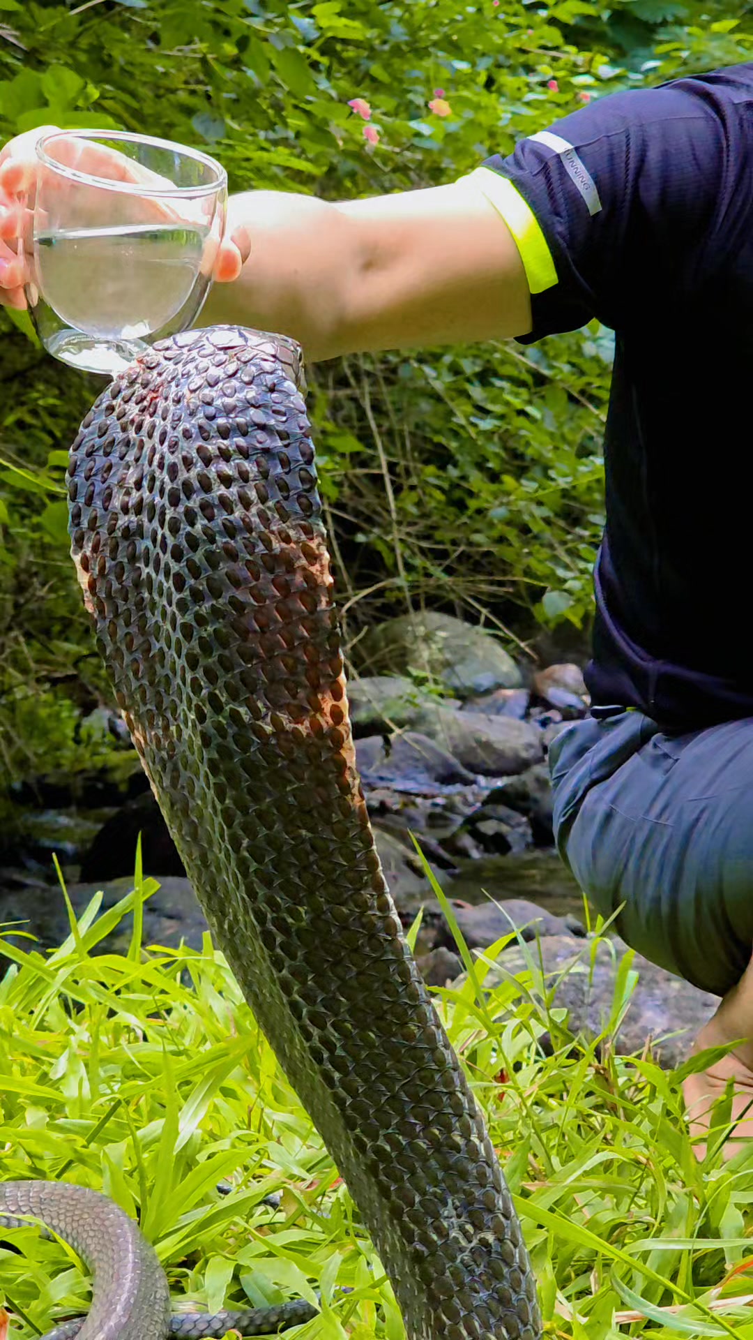 Mau juga minum si raja ... #life #enjoy #sungai #camping | Rafi Ahmad ...