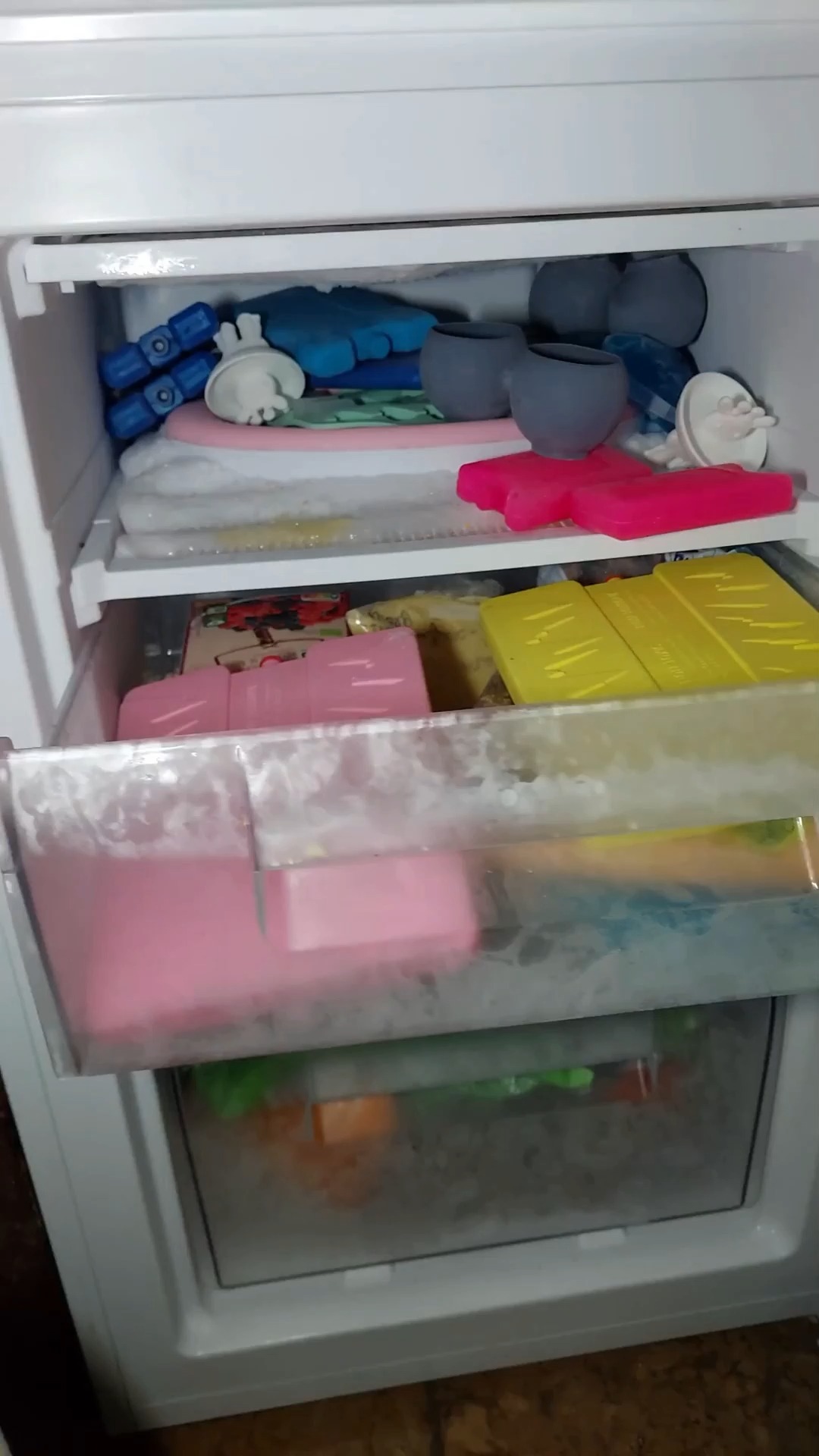 Testbericht – Gefrierschrank freistehend FFF 551704 NE von FORS: Getestet von Samuel für Expeery. , Kein Eiszeit-Chaos mehr – geniessen Sie einen komplett frostfreien Gefrierschrank mit stabilen