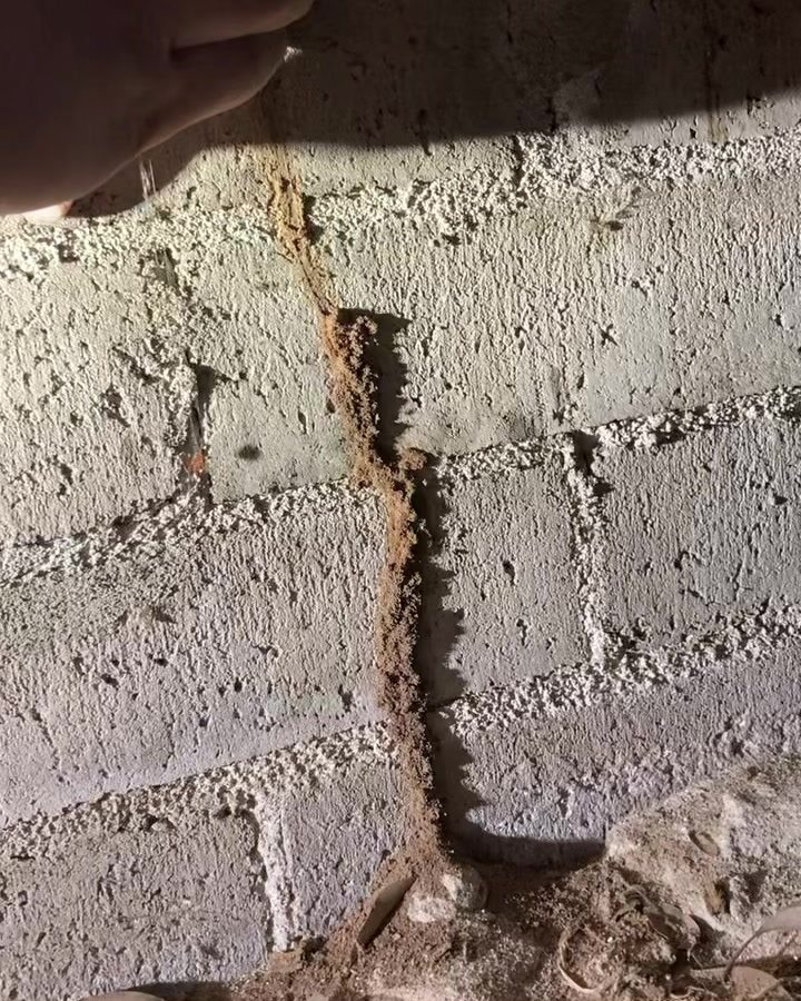 Onpoint Pest & Termite Control | Chula Vista CA