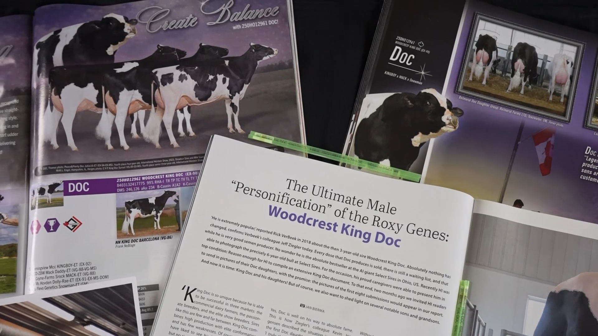 Select Sires is thrilled to introduce the newest member of the ...
