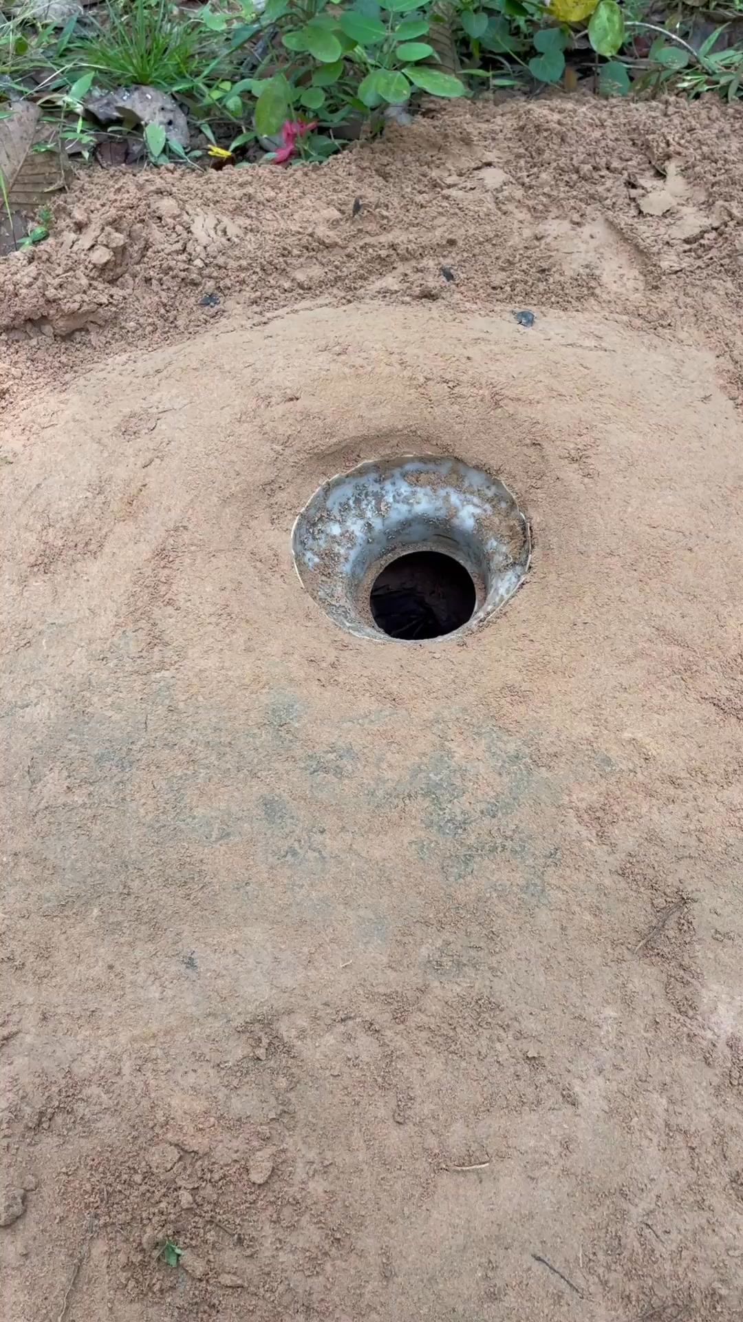 build underground snake trap - catch big Python snake #shorts #python # ...