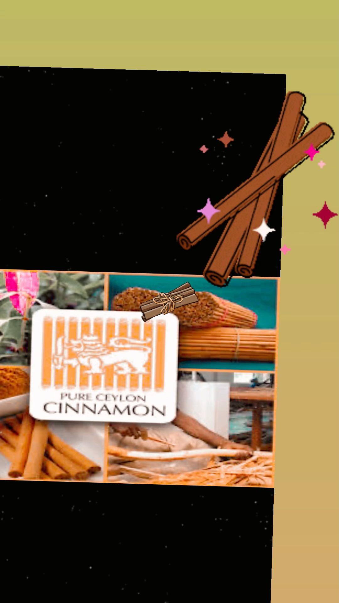 Ceylon Roots International LTD | Barnet