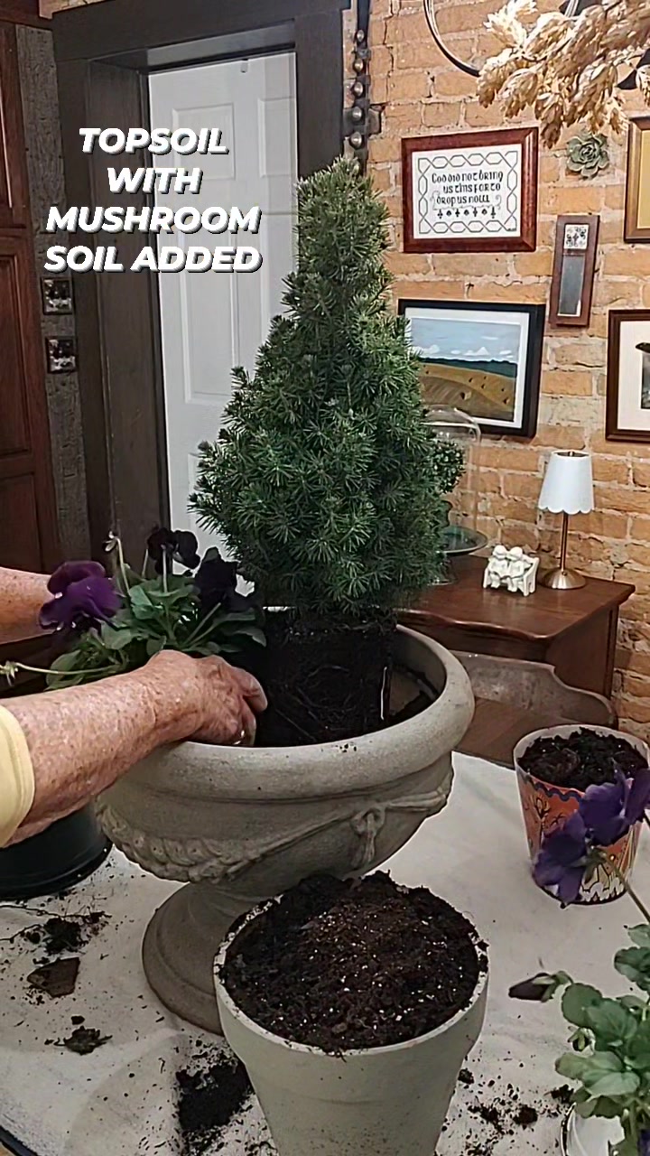 Try Our Bagged Topsoil Mixed With Mushroom Soil! $10.00 per 2 Cubic ...