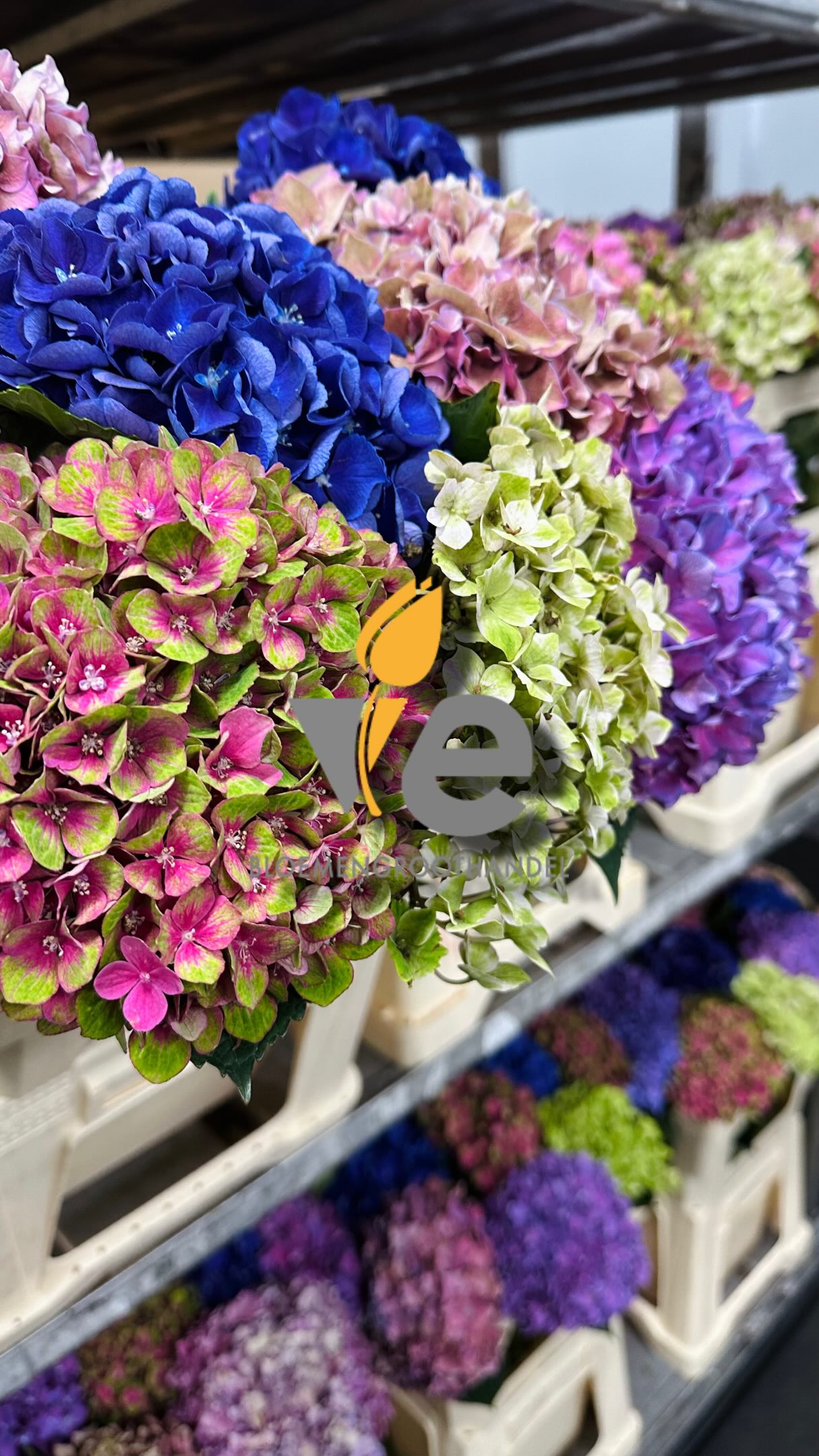 Flower Lovers | Facebook