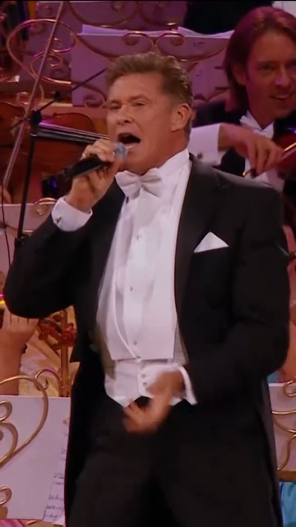 Absolutely brilliant performance from David Hasselhoff on The Vrijthof ...