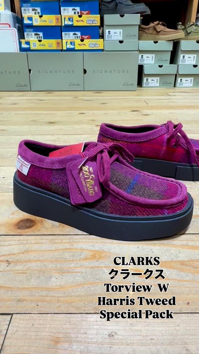 CLARKS クラークス “Torview W” レディーストービュー Clarks