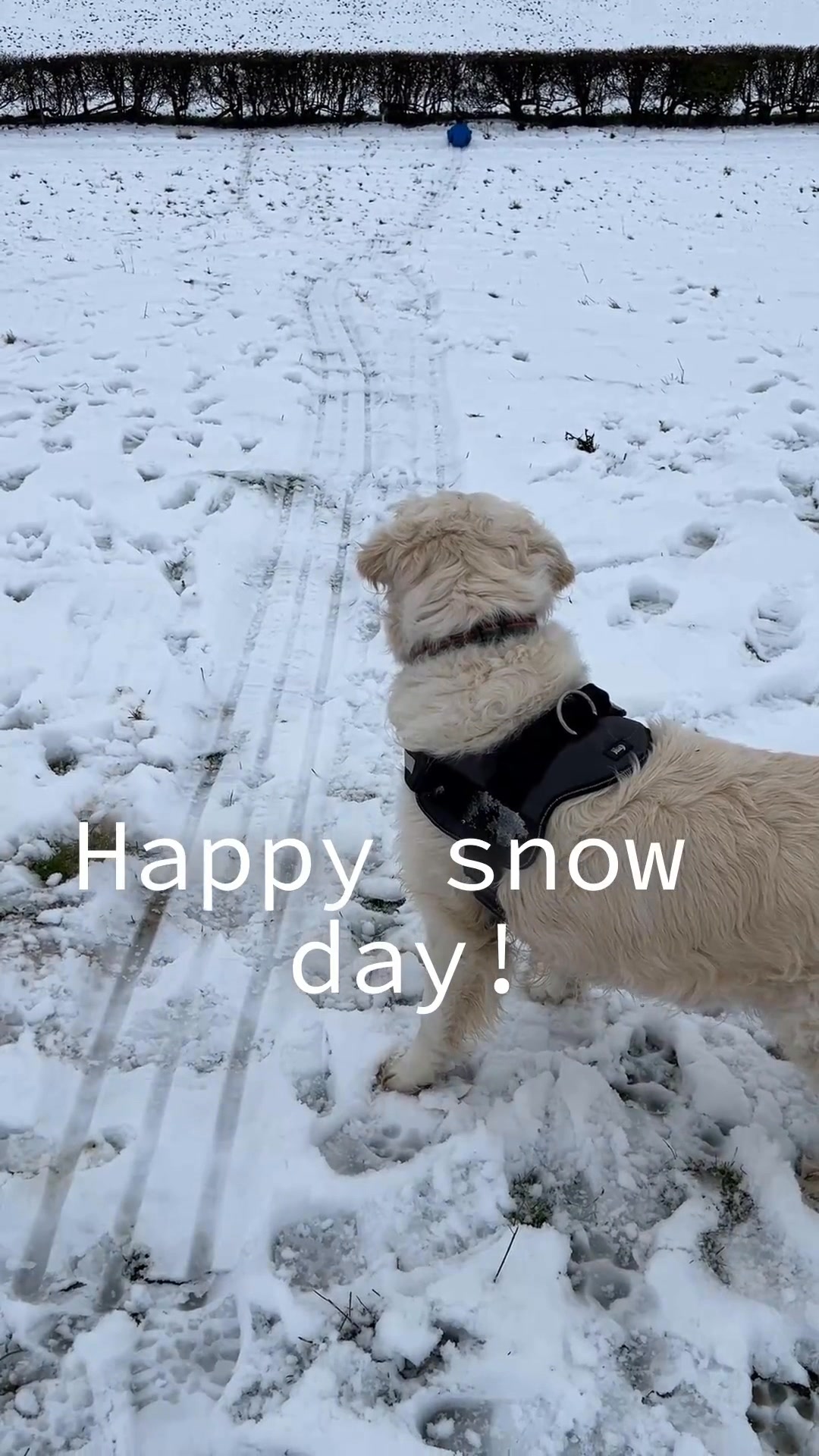 Following the aftermath of the snow, please take extra care on the ...