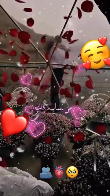 معنى أن تغرق في حُب أحدهم قبل أن تراه وعندمـا تراه تغرق في تفاصيـلة ...