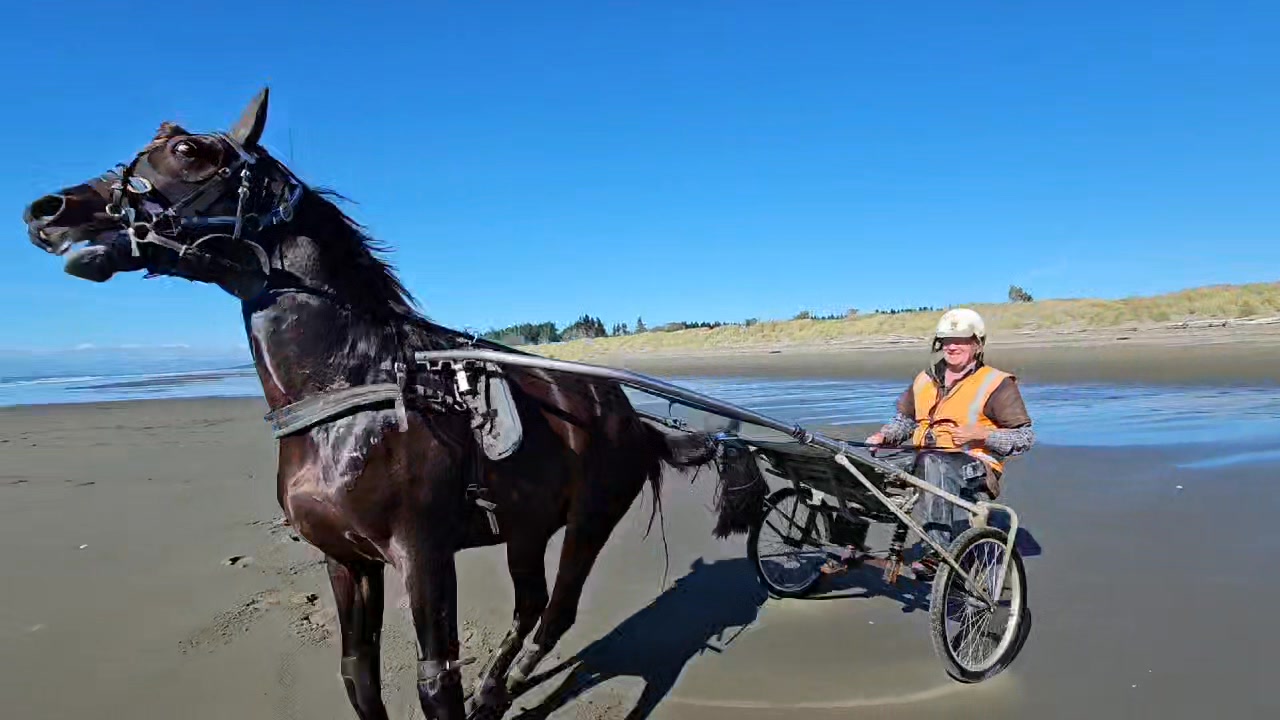 IRT UNHINGED Greg & Ben Hope Racing Report. ⛱️ | Harness Racing ...