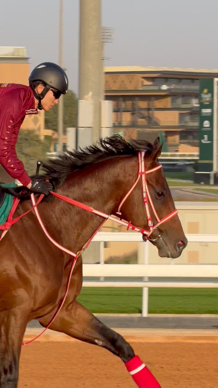 Forever Young is like poetry in motion! 😍 #フォーエバーヤング