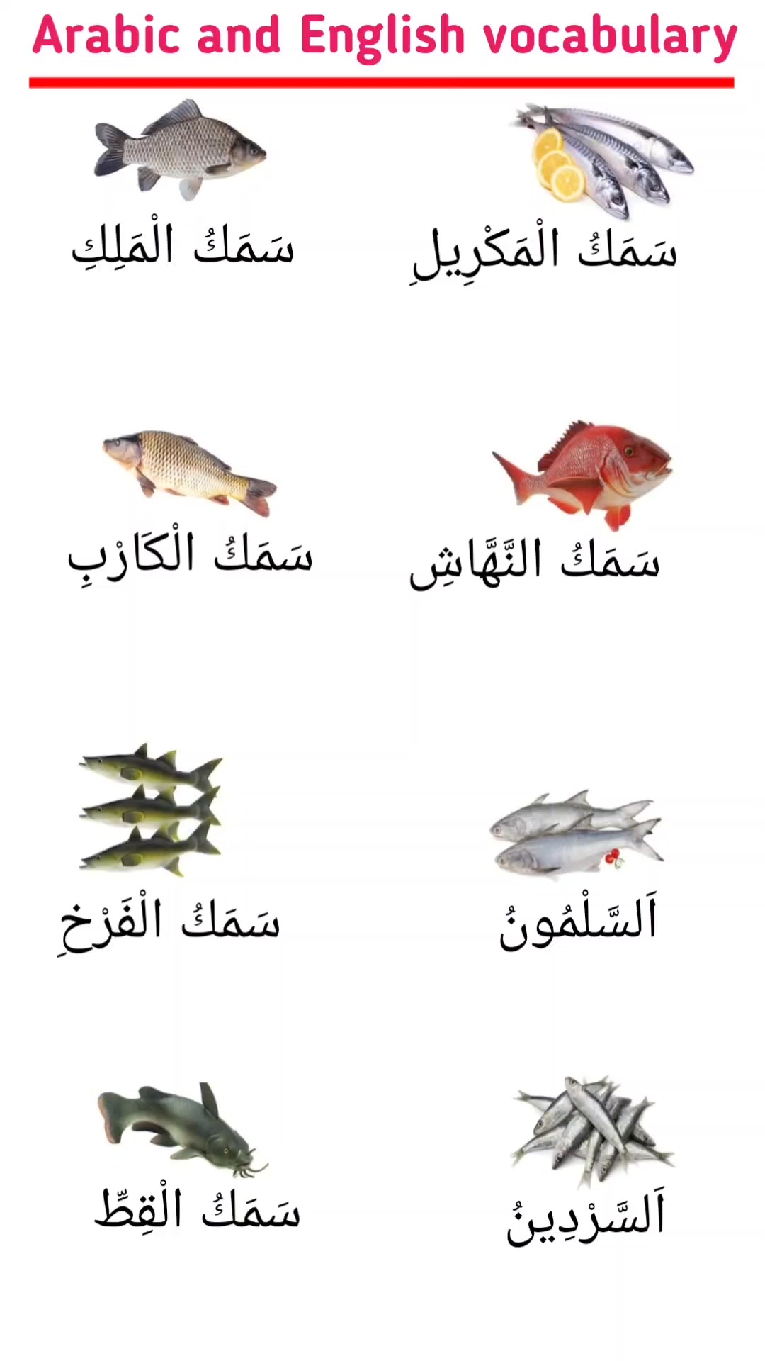 Arabic and English different fish names #arabic #English #different # ...