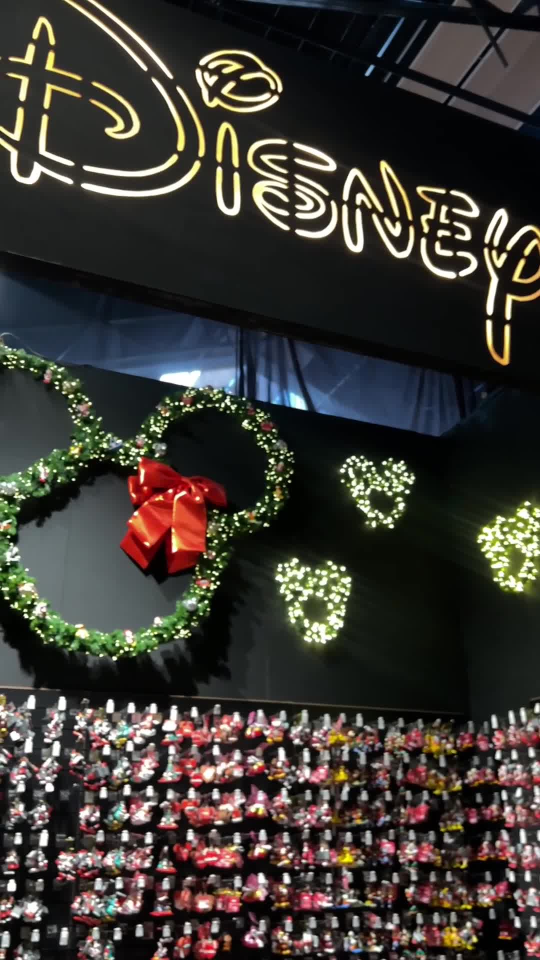 Disney + Kerst = pure magie! 🎄 Kom langs bij Intratuin Lisse en laat je ...