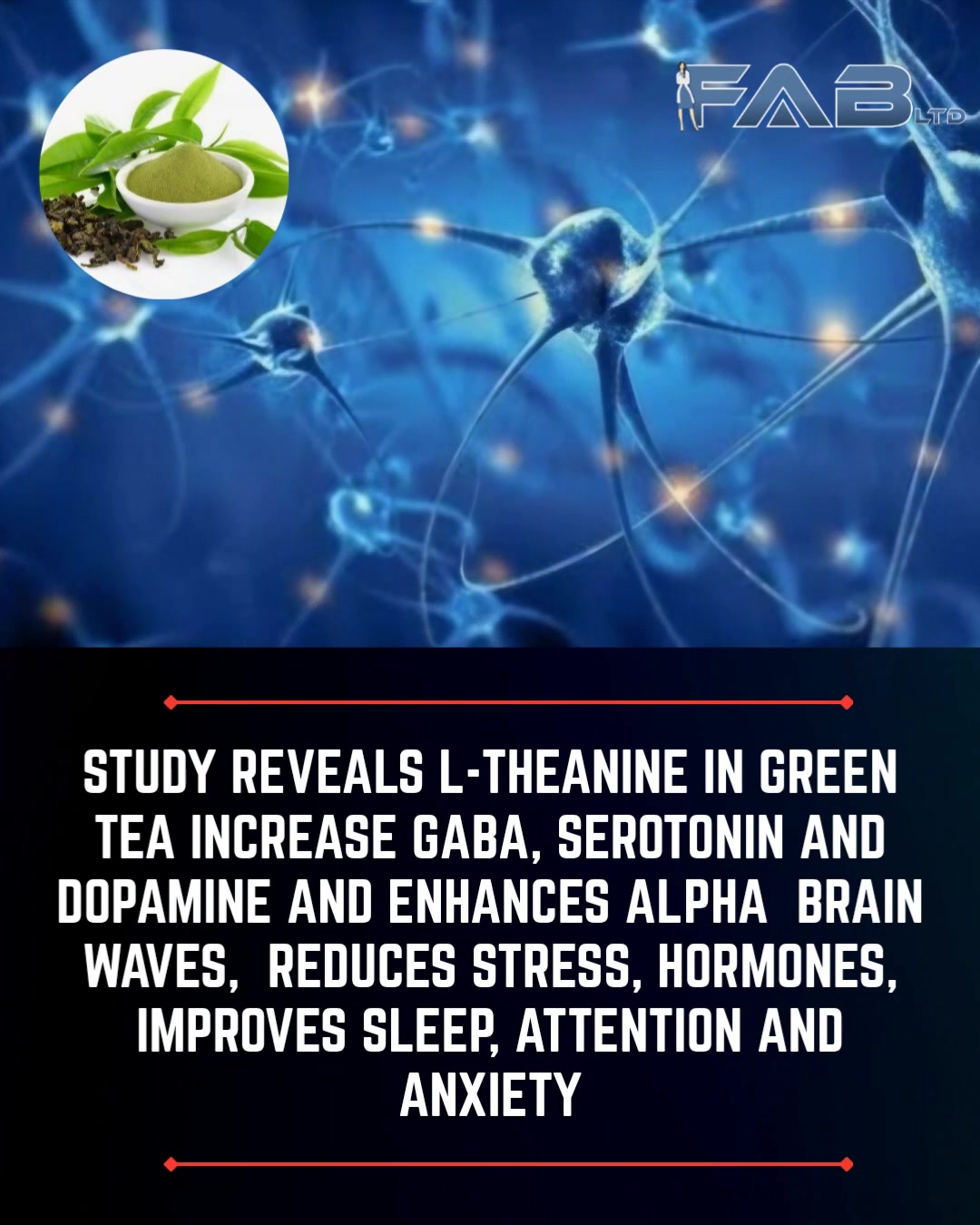 Stunning Cat Anxiety Decrease With L Theanine image