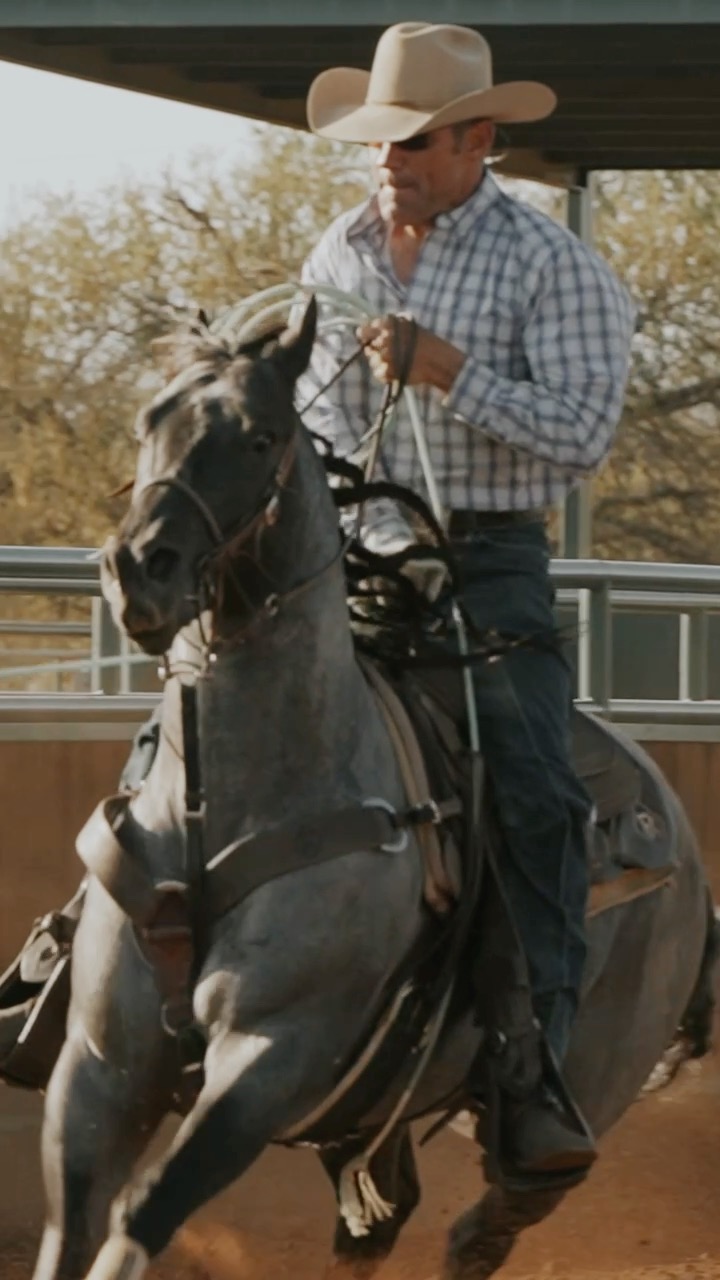 🐴 Famed Prince AKA ROCKER Update 🐴 We... - Reliance Ranches | Facebook