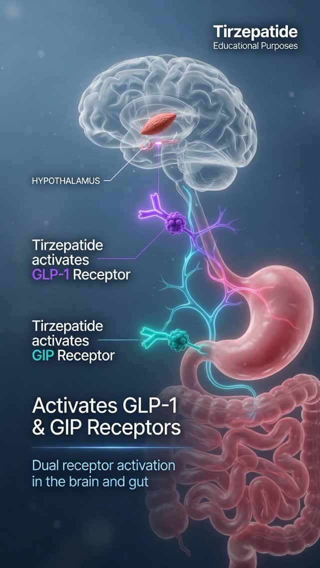 How does Tirzepatide work in the body? This short educational animation shows how it activates GLP-1 and GIP receptors to help support appetite regulation and insulin sensitivity. For educational purposes only. Individual