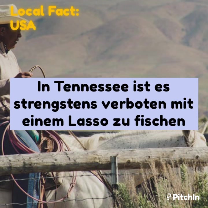 Local Fact - USA: In Tennessee it’s strictly forbidden to fish with a ...