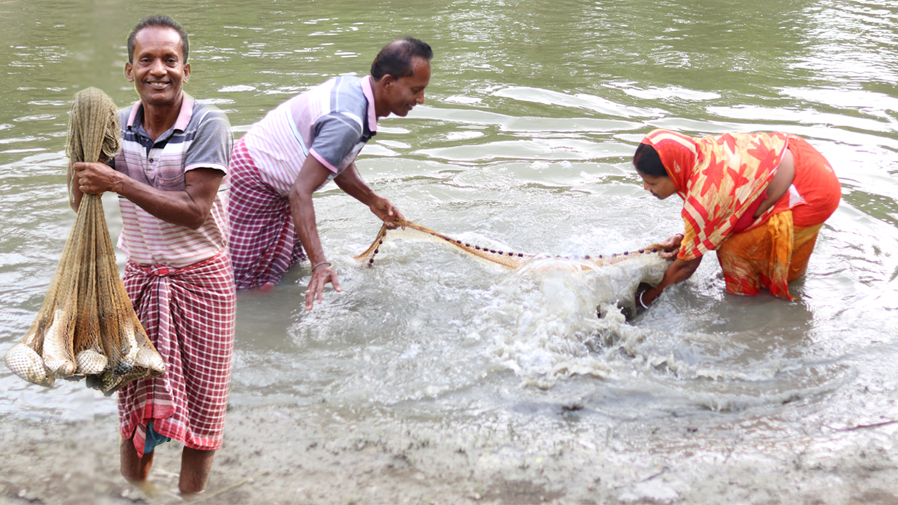 বাড়ির পুকুরে মাছ ধরে দুপুরে রান্না বান্না ও খাওয়া দাওয়া😋 #fishing # ...