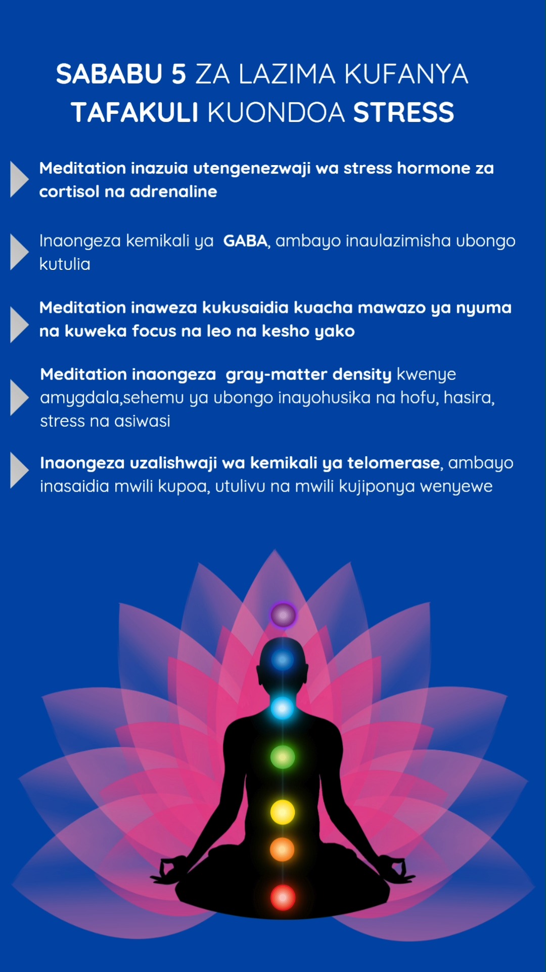 🧠 Why Meditation Works for Stress (It’s Not Spiritual—It’s Biological ...