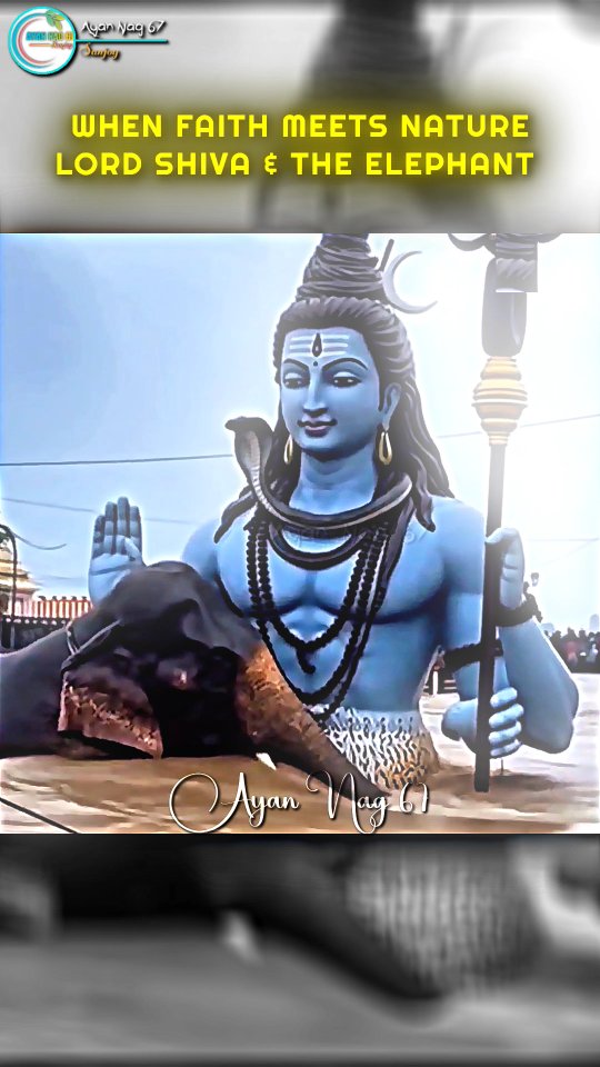 WHEN FAITH MEETS NATURE LORD SHIVA & THE ELEPHANT 🕉️🚩🙏 . . . # ...