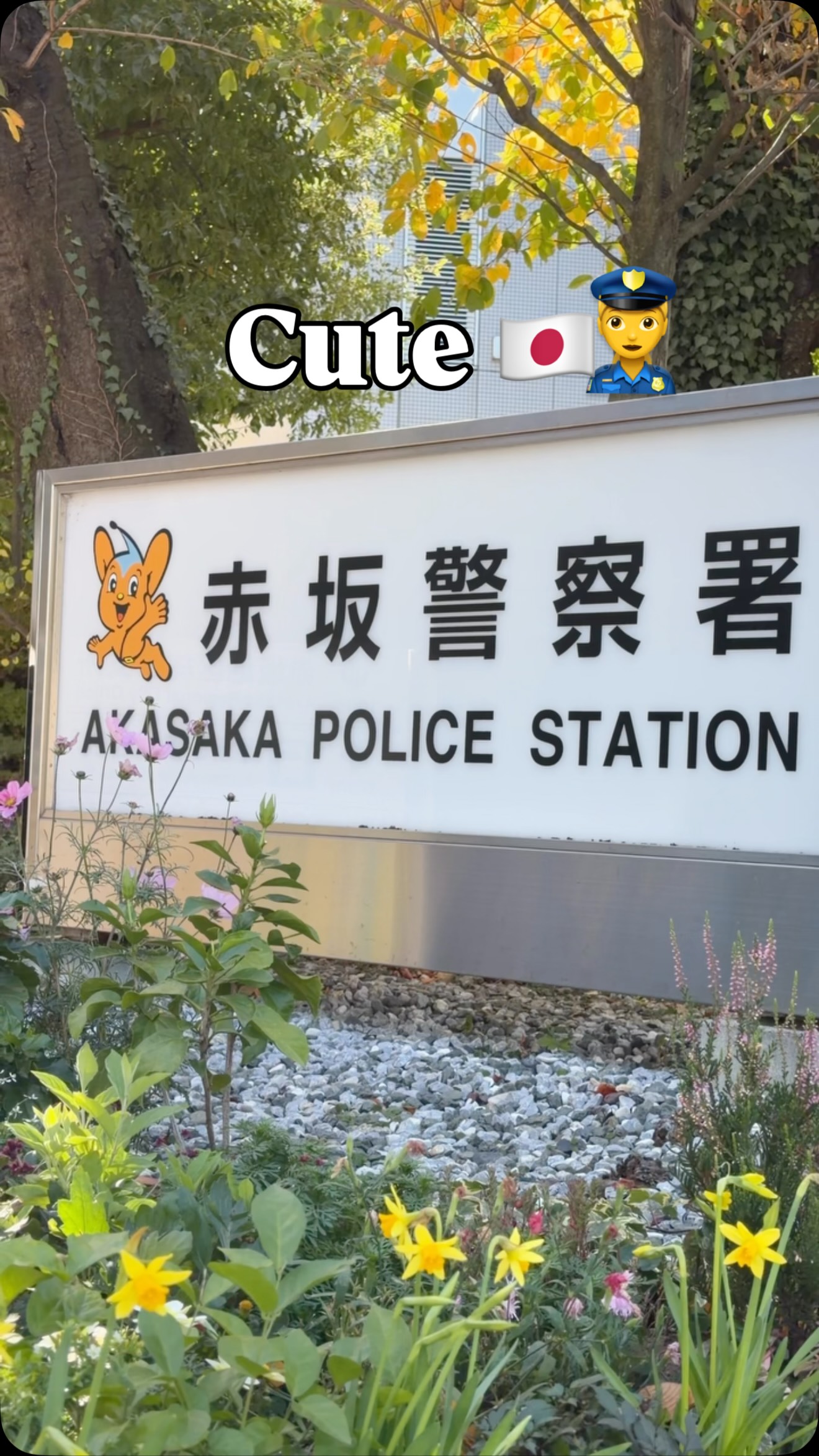 This is a police station in Japan & yes, that's a cute mascot on