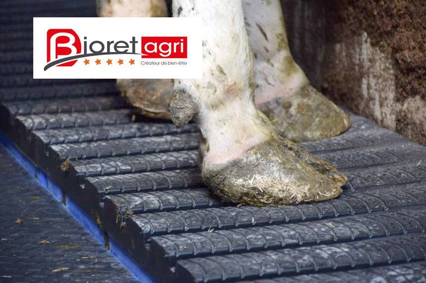 DAIRY STEP - Installation à Reclinghem (62) | NOUVEAUTÉ 2018 : Dairy ...