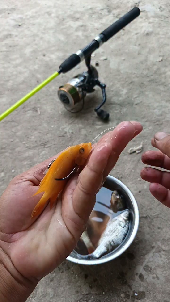 cowtec fish lure BANCHEE 