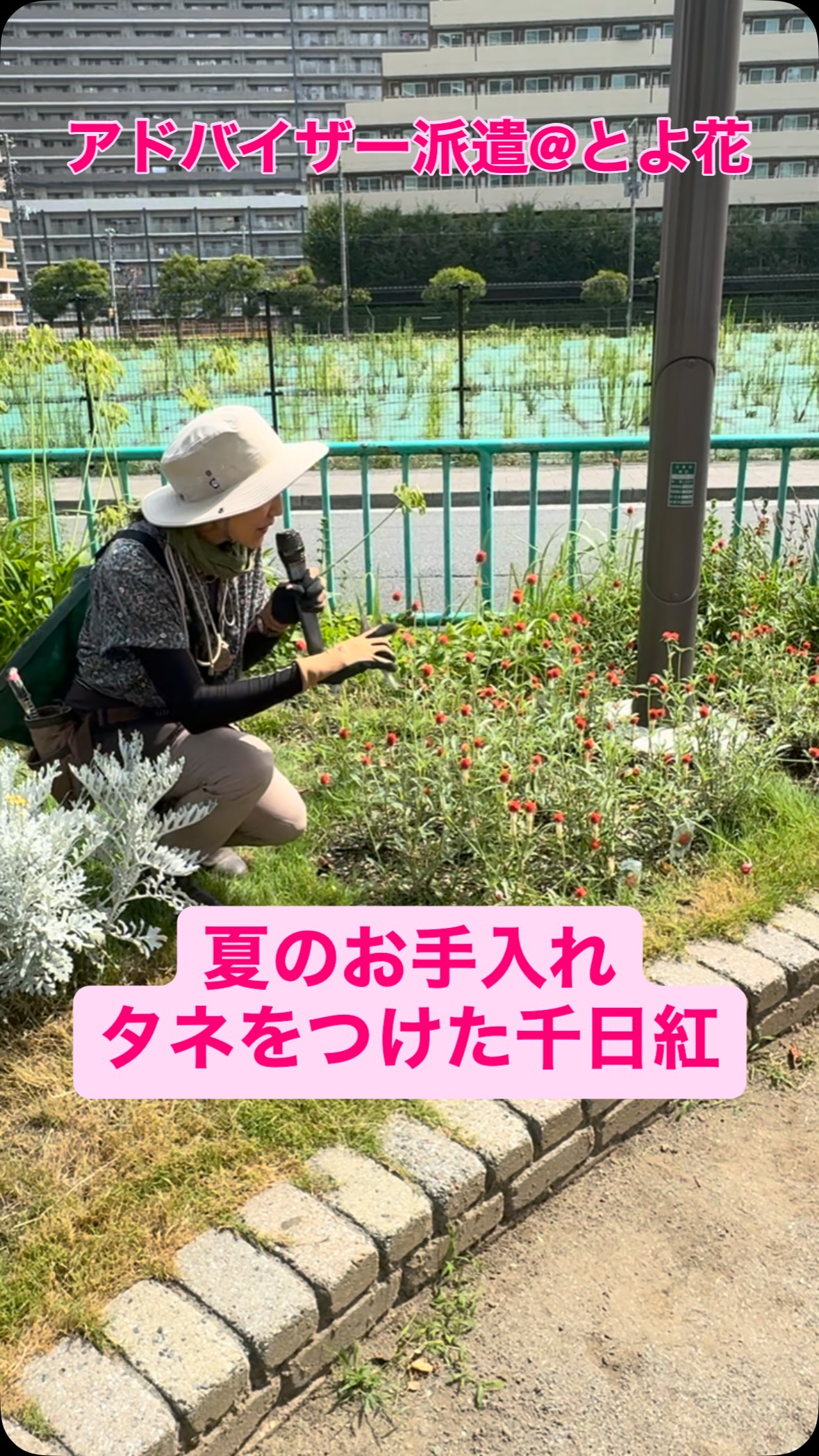 みどりネットKoto (@MidorinettoKoto) • Facebook