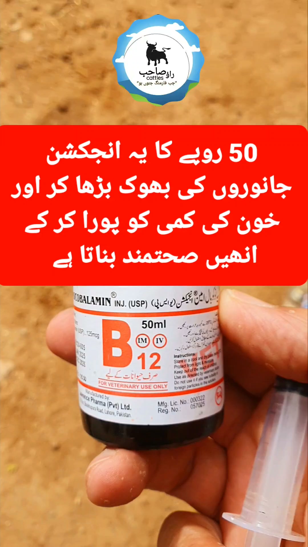injectable b12 for goats High Level Vitamin B Complex Animal Use Vitamin B-12 Injectable Solution |