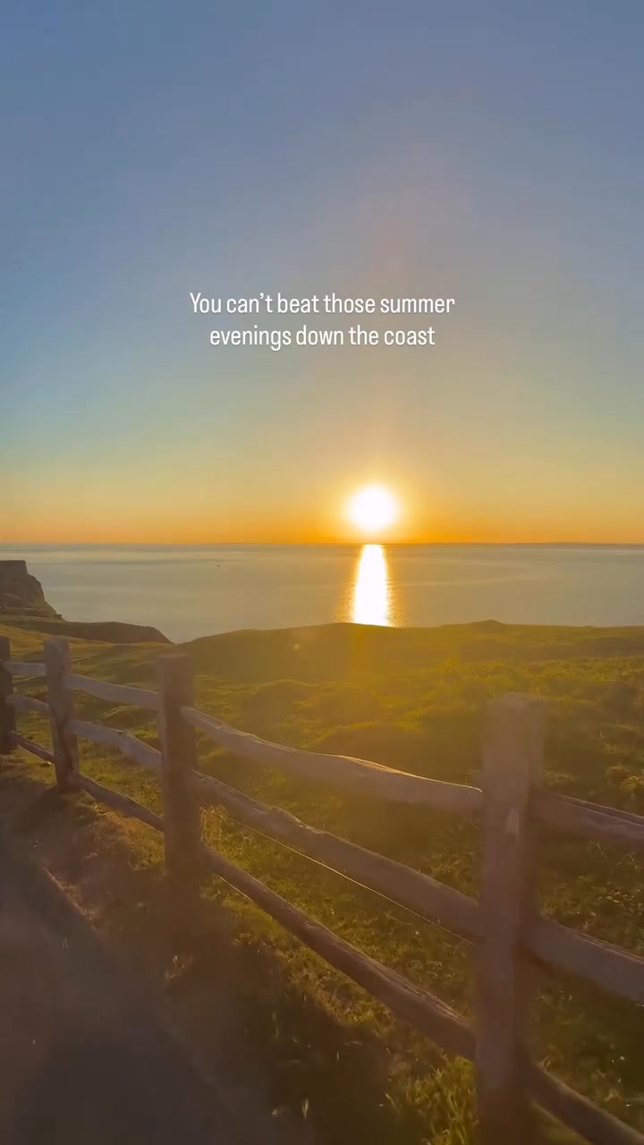 Days get lighter and longer 🌻🌻🌻 | Rhossili Sunflowers | Facebook