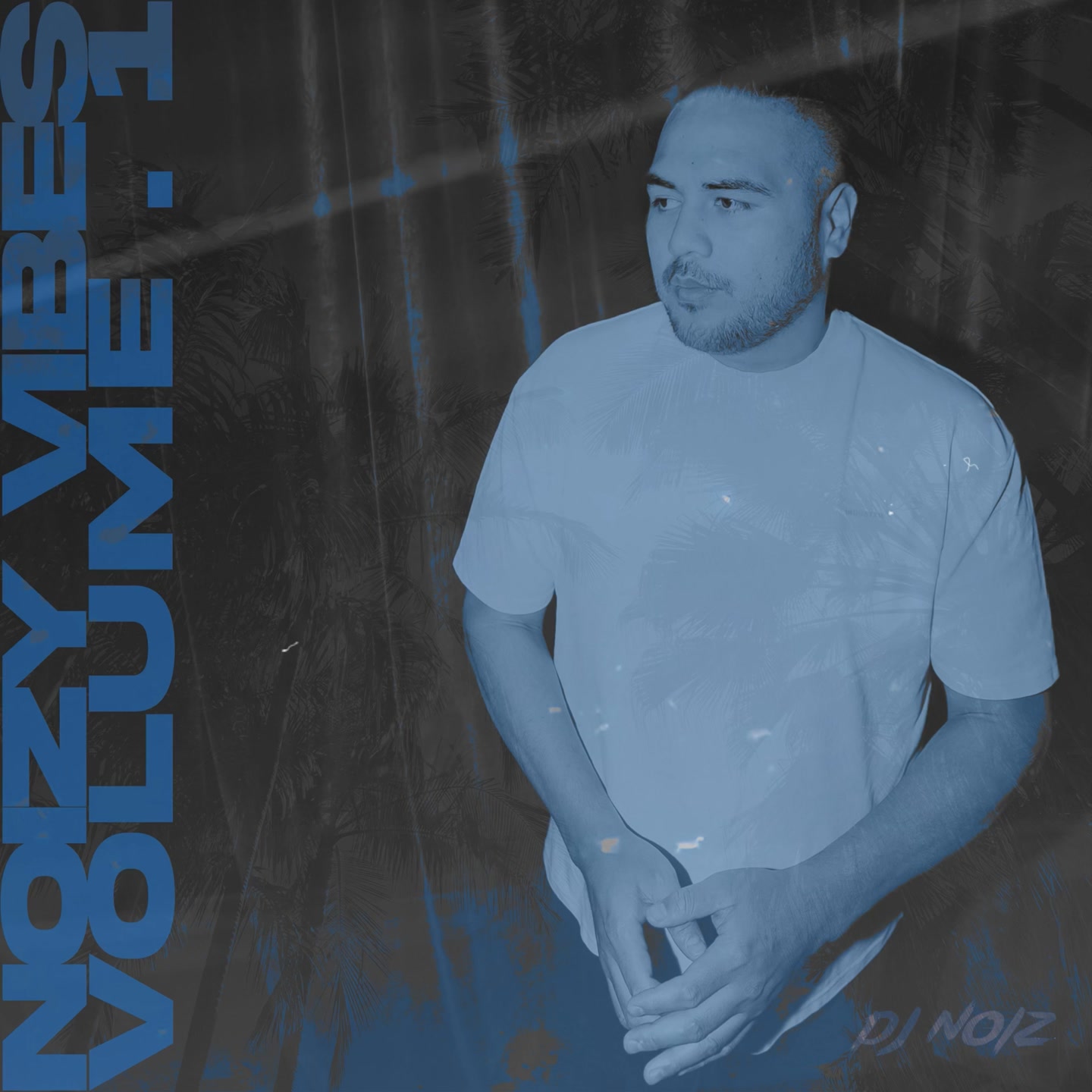 DJ Noiz - Noizy Vibes Vol. 1 | DJ Noiz