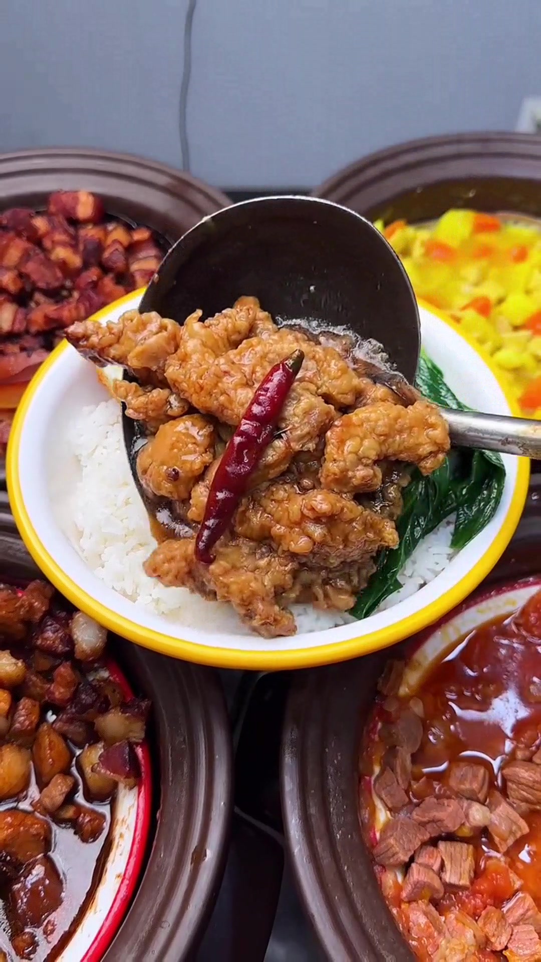 Hot braised rice, a perfect combination of meat and vegetables, topped ...
